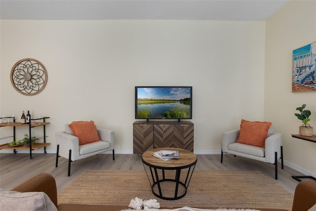 1065 Universal Rest Pl, Kissimmee, FL 34744 - living area with wood finished floors and baseboards