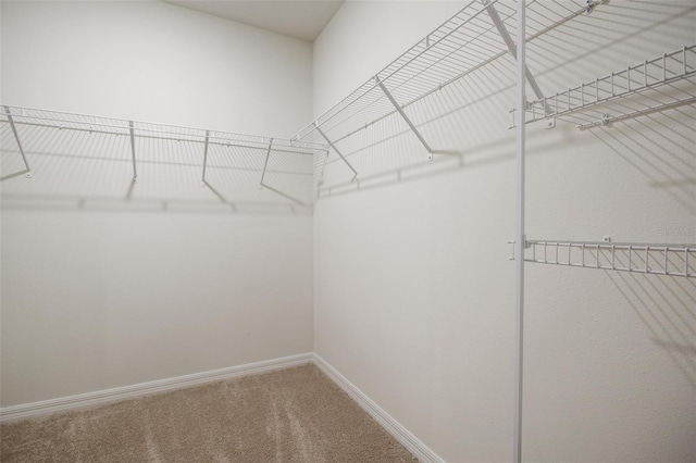 17127 Harvest Moon Way, Bradenton, FL 34211 - walk in closet with carpet
