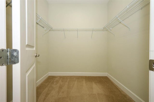 1222 Castlevecchio Loop, Orlando, FL 32825 - walk in closet featuring light carpet
