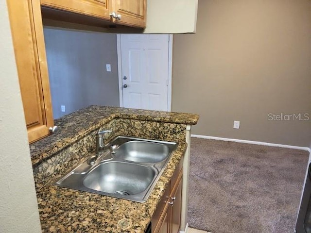 236 Afton Sq Unit 207, Altamonte Springs, FL 32714 - kitchen with a sink and carpet floors