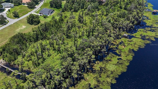 LOT9 Osprey Pointe Blvd, Clermont, FL 34711 - photo 6