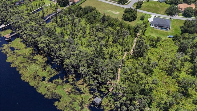 LOT9 Osprey Pointe Blvd, Clermont, FL 34711 - photo 7