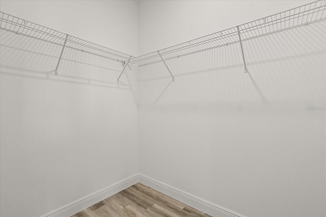 6421 SW 151st Loop, Ocala, FL 34473 - spacious closet with light wood-style floors