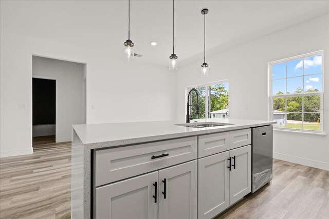 6421 SW 151st Loop, Ocala, FL 34473 - kitchen with dishwasher, plenty of natural light, light wood-style flooring, and hanging light fixtures