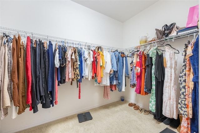 2782 Cedar Knoll Dr, Apopka, FL 32712 - spacious closet featuring carpet