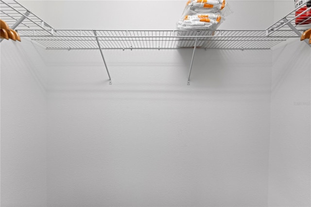 9023 Shadow Mountain St, Davenport, FL 33896 - view of walk in closet