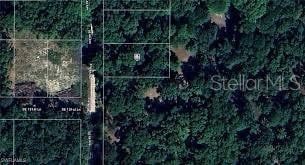 X, Belleview, FL 34420 - photo 1