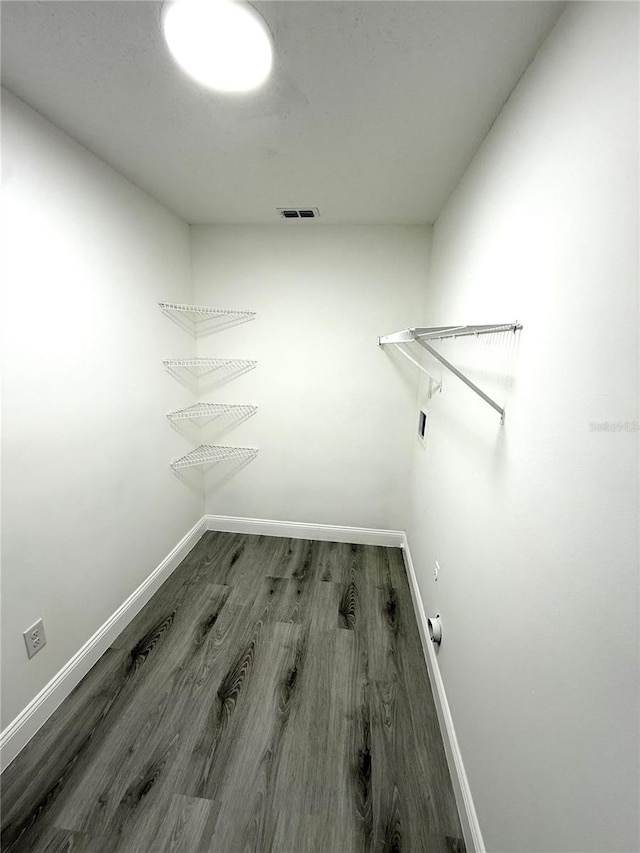 926 Freshmeadow Ct, Apopka, FL 32703 - walk in closet featuring wood finished floors
