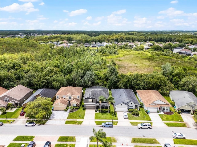 13431 Early Frost Cir, Orlando, FL 32828 - photo 47