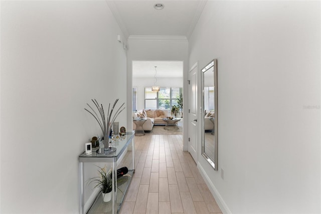 15448 Murcott Blossom Blvd, Winter Garden, FL 34787 - hall with crown molding and light wood-style flooring