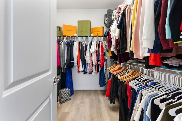 15448 Murcott Blossom Blvd, Winter Garden, FL 34787 - walk in closet featuring wood finished floors