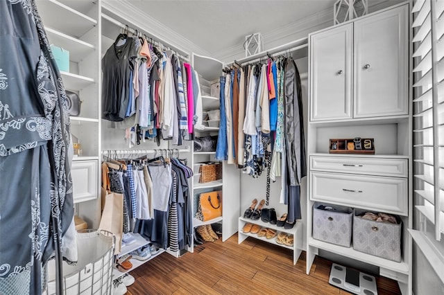 1191 Honey Blossom Dr Unit D, Orlando, FL 32824 - spacious closet with wood finished floors
