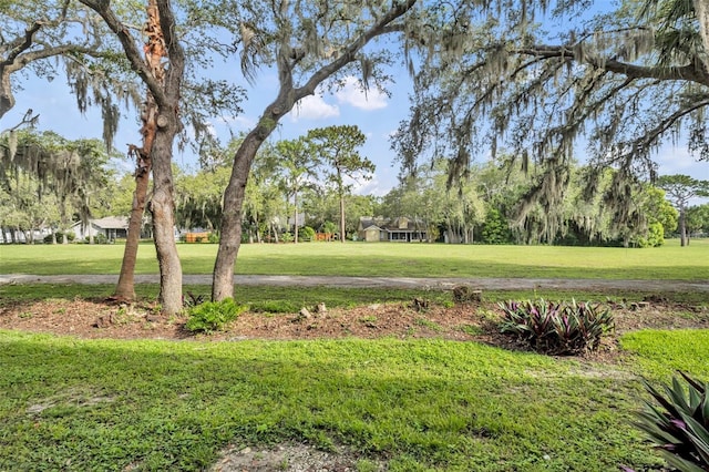1534 Barking Deer Cv, Casselberry, FL 32707 - view of green lawn