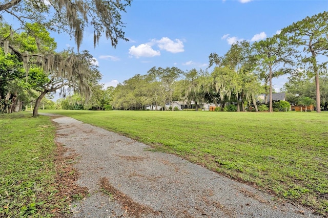 1534 Barking Deer Cv, Casselberry, FL 32707 - view of property's community featuring a yard