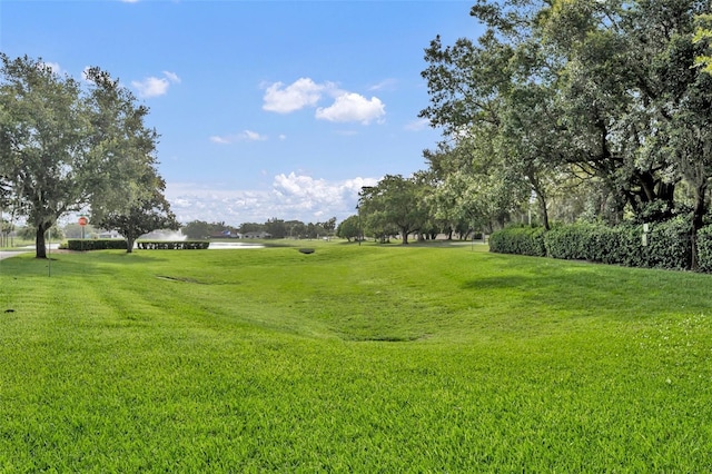 1534 Barking Deer Cv, Casselberry, FL 32707 - view of green lawn