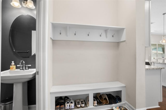 16412 Good Hearth Blvd, Clermont, FL 34711 - mudroom with dark wood-type flooring and a sink