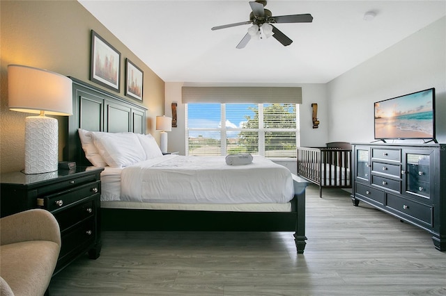 2669 Manesty Ln, Kissimmee, FL 34747 - bedroom with wood finished floors and a ceiling fan