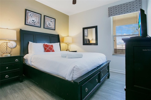 2669 Manesty Ln, Kissimmee, FL 34747 - bedroom featuring light wood-style floors and a ceiling fan