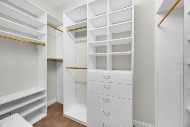 307 Running Wind Ln, Maitland, FL 32751 - spacious closet featuring dark carpet