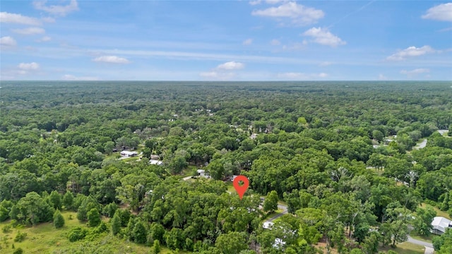 8311 NW 174th Pl, Fanning Springs, FL 32693 - photo 7