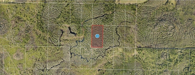 Calvin Lee Rd, Groveland, FL 34736