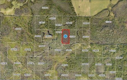 Calvin Lee Rd, Groveland, FL 34736