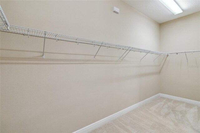 207 Spalding Way, Deland, FL 32724 - spacious closet with light carpet
