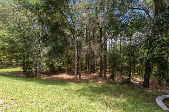 207 Spalding Way, Deland, FL 32724 - view of green lawn
