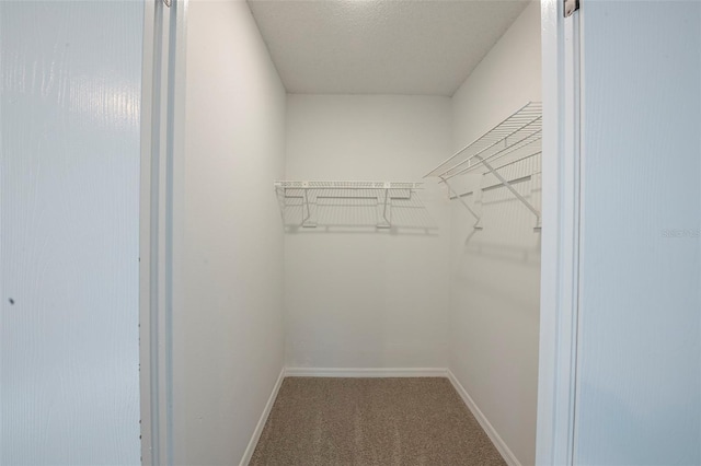 4800 Reginald Rd, Orlando, FL 32829 - walk in closet with carpet