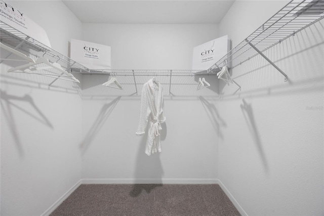 1902 Walnut Creek Dr, Kissimmee, FL 34744 - walk in closet with carpet floors