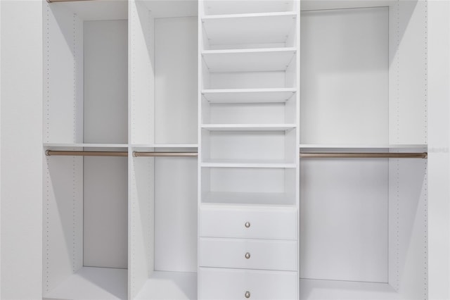 8290 Nemours Pkwy, Orlando, FL 32827 - view of spacious closet
