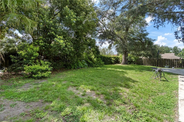3220 Cardigan Ct, Orlando, FL 32812 - view of yard