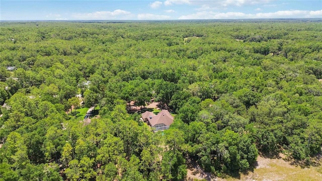 21795 SW 88th Lane Rd, Dunnellon, FL 34431 - photo 58