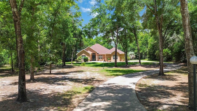 21795 SW 88th Lane Rd, Dunnellon, FL 34431 - photo 50