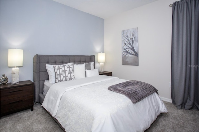 9071 Sunshine Ridge Loop, Kissimmee, FL 34747 - view of carpeted bedroom