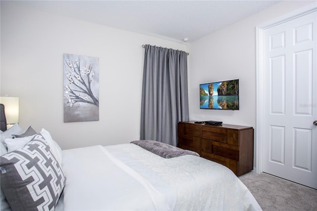 9071 Sunshine Ridge Loop, Kissimmee, FL 34747 - bedroom featuring light colored carpet