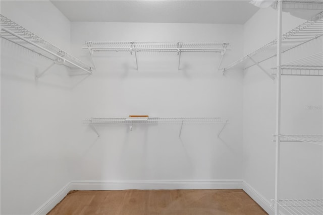 12713 Pine Arbor Dr, Clermont, FL 34711 - view of walk in closet