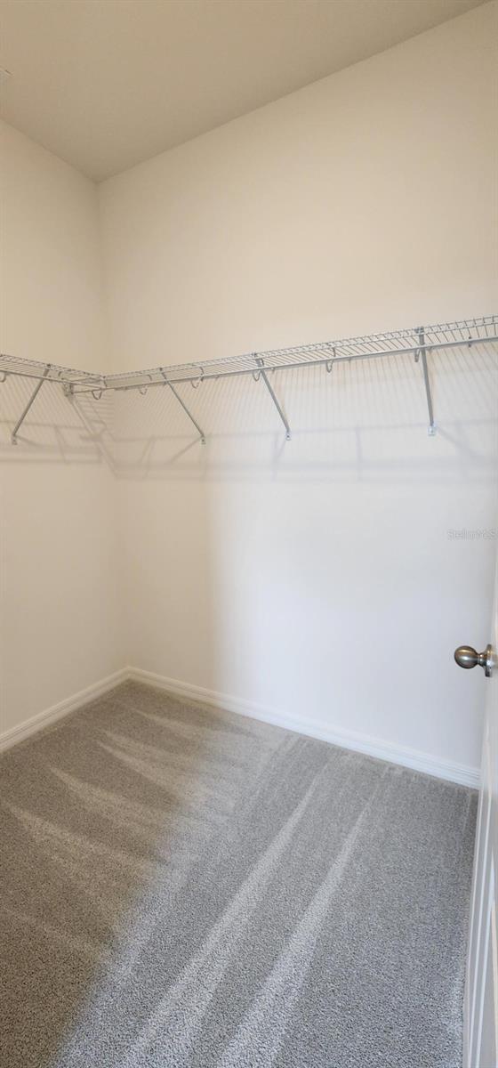 483 Shadow Gorge Way, Eustis, FL 32736 - spacious closet featuring carpet
