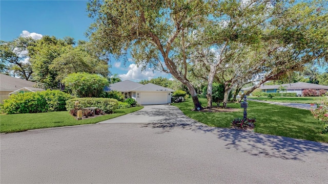 42 W Grenewood Ln, Haines City, FL 33844 - photo 31