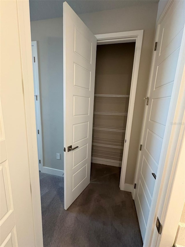 2318 Raven Ridge Rd, Minneola, FL 34715 - view of closet