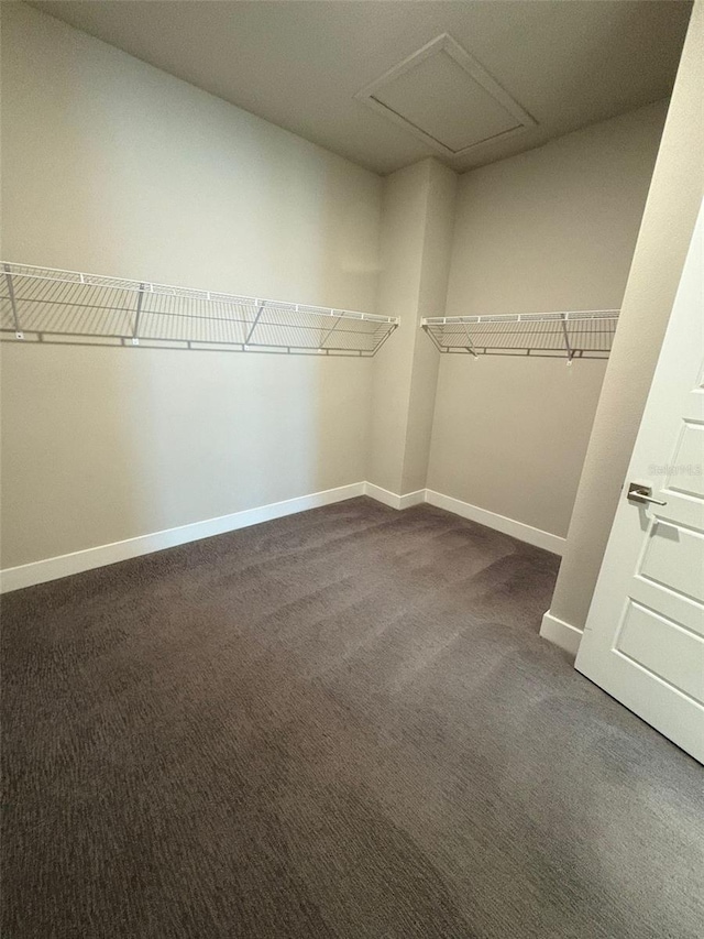 2318 Raven Ridge Rd, Minneola, FL 34715 - walk in closet featuring dark colored carpet and attic access
