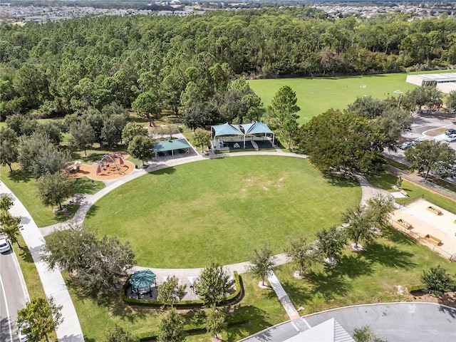 5263 Beach River Rd, Windermere, FL 34786 - aerial view of a forest