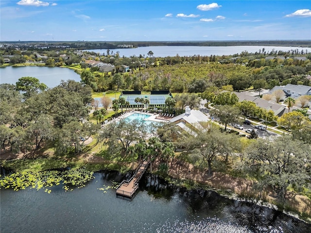 5263 Beach River Rd, Windermere, FL 34786 - view of property location with a pool area and a nearby body of water
