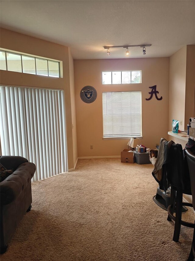 7230 Westpointe Blvd Unit 1235, Orlando, FL 32835 - office space with carpet floors and baseboards