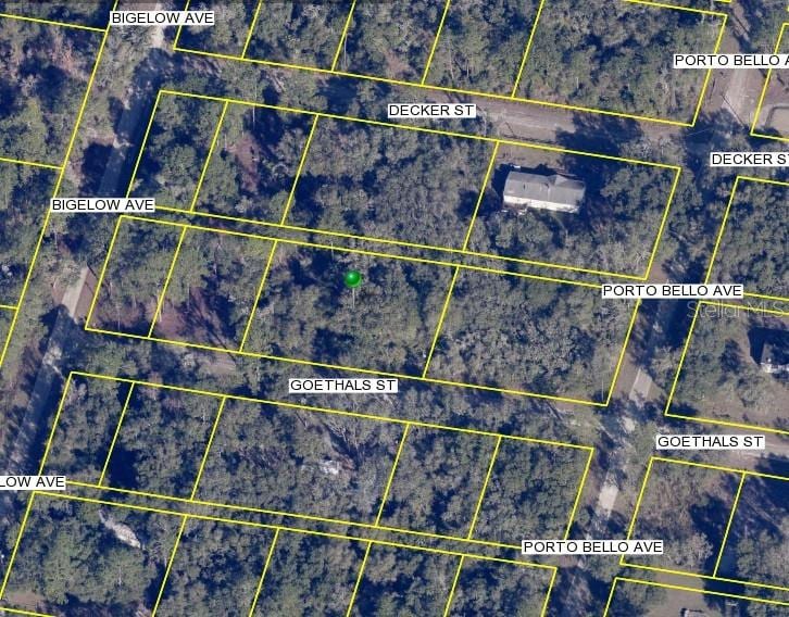 Goethals St, Webster, FL 33597 - photo 1