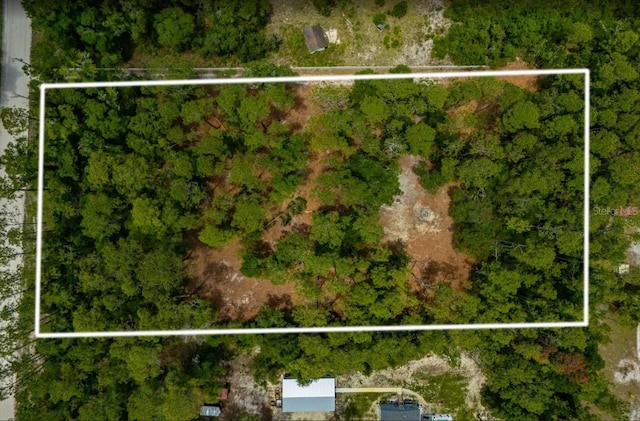 569 NE 356th Ave, Old Town, FL 32680