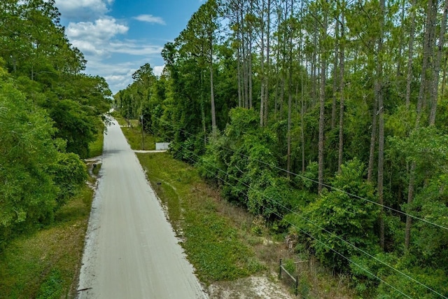 569 NE 356th Ave, Old Town, FL 32680
