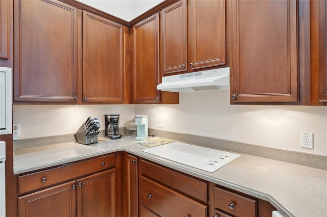 1542 Wescott Loop, Winter Springs, FL 32708 - kitchen with under cabinet range hood, white electric cooktop, light countertops, and brown cabinetry