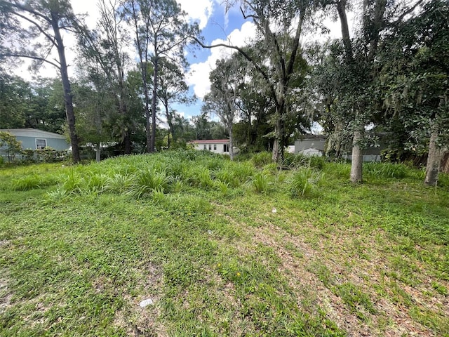 18533 16th Ave, Orlando, FL 32833 - photo 4