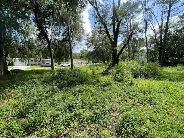 18533 16th Ave, Orlando, FL 32833 - photo 5